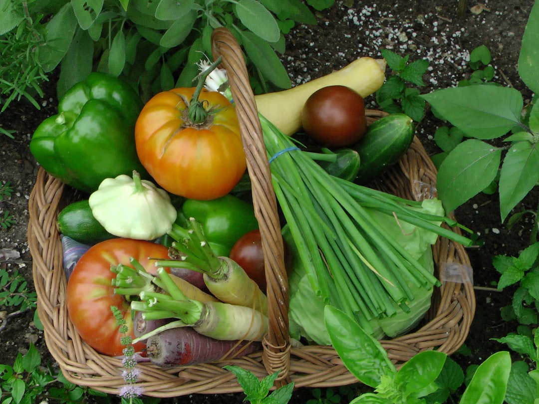 Selbst geerntetes Gemüse im Gartenkorb – Tomaten, Paprika und frisches Blattgemüse als Ergebnis optimaler Nährstoffversorgung