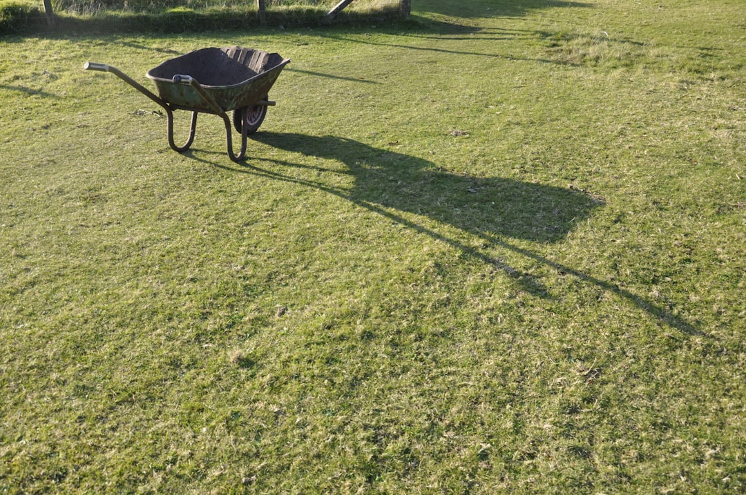 Schubkarre auf dem Rasen als Hilfsmittel bei der Gartenarbeit im Herbst