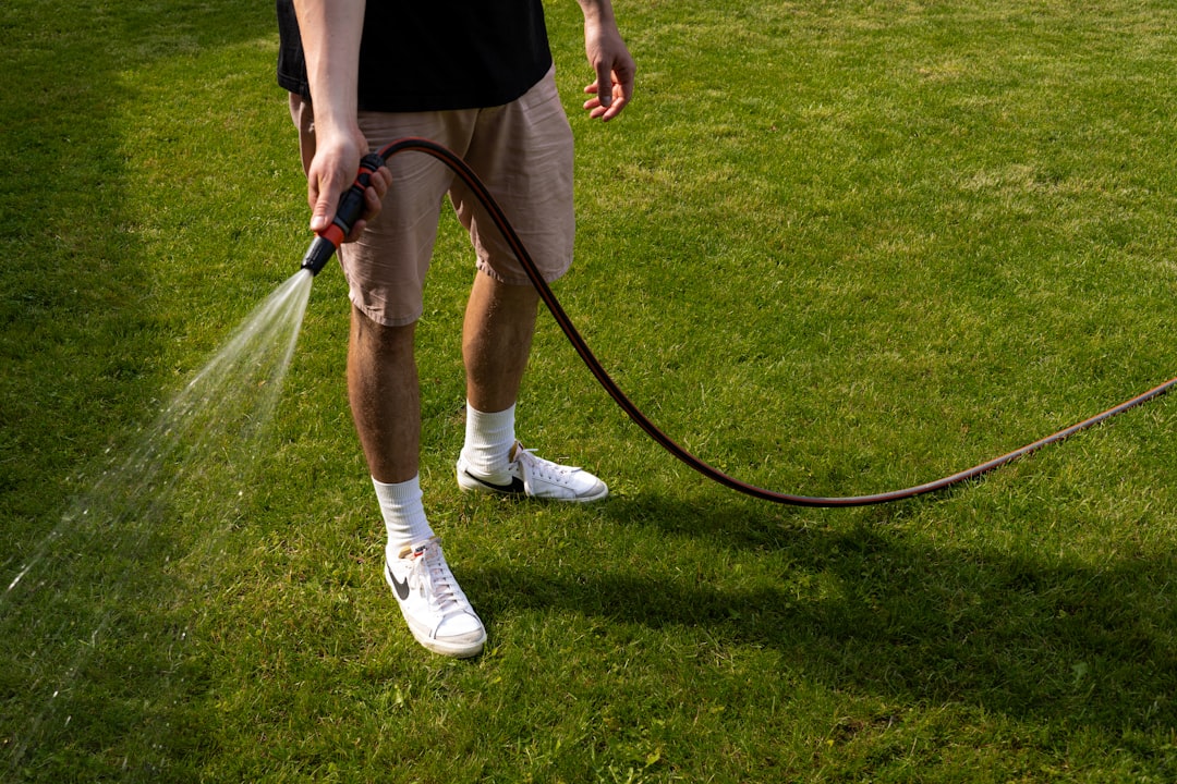 Person bewässert einen grünen Rasen im Sommer mit einem Gartenschlauch – wichtig vor und nach der Sommerdüngung.